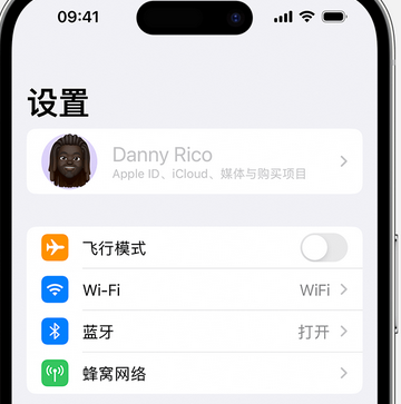 师宗appleID维修服务iPhone设置中Apple ID显示为灰色无法使用 