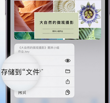 师宗apple维修中心分享iPhone文件应用中存储和找到下载文件