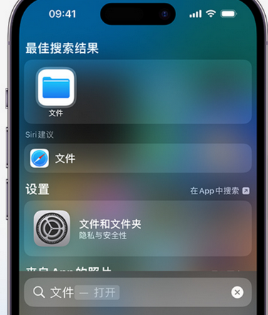 师宗apple维修中心分享iPhone文件应用中存储和找到下载文件 