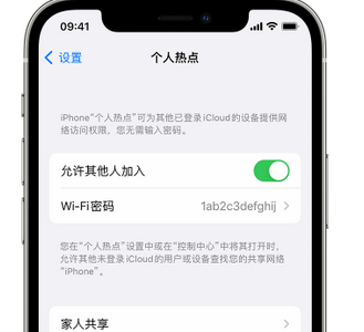 师宗apple服务站点分享iPhone上个人热点丢失了怎么办