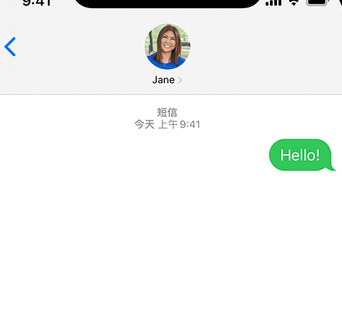 师宗apple维修iPhone上无法正常发送iMessage信息