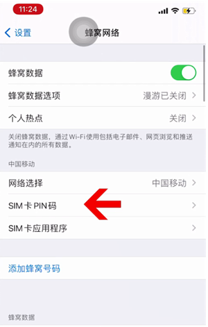 师宗苹果14维修网分享如何给iPhone14的SIM卡设置密码 