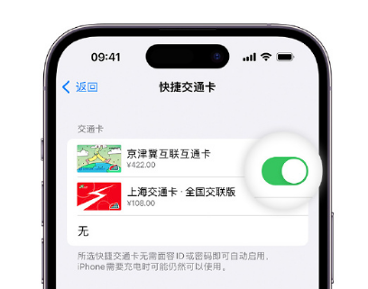 师宗apple维修点分享iPhone上更换Apple Pay快捷交通卡手绘卡面 