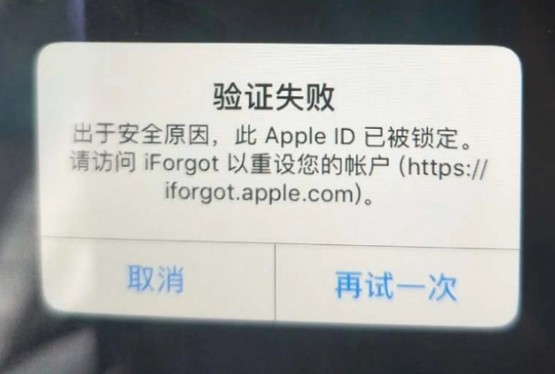 师宗iPhone维修分享iPhone上正常登录或使用AppleID怎么办 