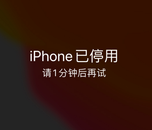 师宗苹果手机维修分享:iPhone 显示“不可用”或“已停用”怎么办？还能保留数据吗？ 