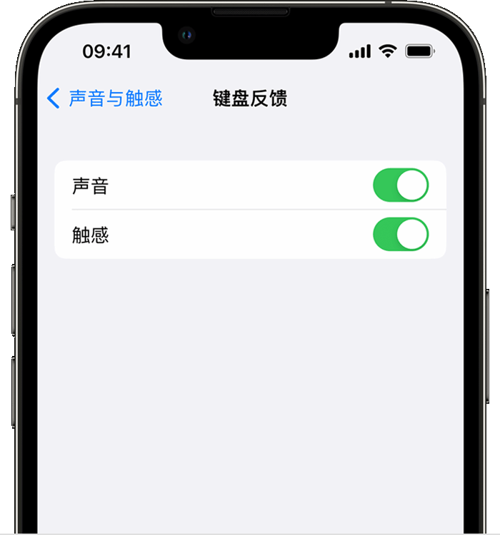 师宗苹果14维修店分享如何在 iPhone 14 机型中使用触感键盘 