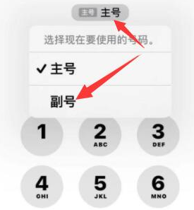 师宗苹果14维修店分享iPhone 14 Pro Max使用副卡打电话的方法 