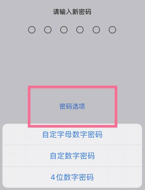 师宗苹果14维修分享iPhone 14plus设置密码的方法 