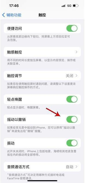 师宗苹果手机维修分享iPhone手机如何设置摇一摇删除文字 